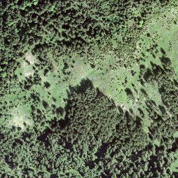 Satellite imagery of Cholhüttliegg, CH