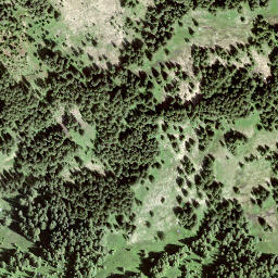 Satellite imagery of Cholhüttliegg, CH