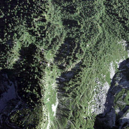 Satellite imagery of Schwalbenchöpf, CH