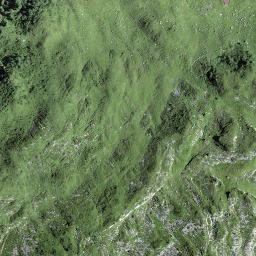 Satellite imagery of Schwalbenchöpf, CH