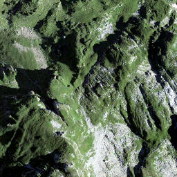Satellite imagery of Schilt, CH