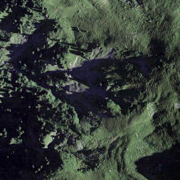 Satellite imagery of Rappenegg, CH