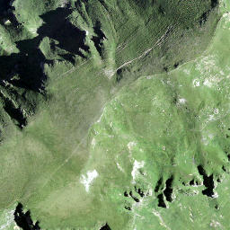 Satellite imagery of Guscha, CH