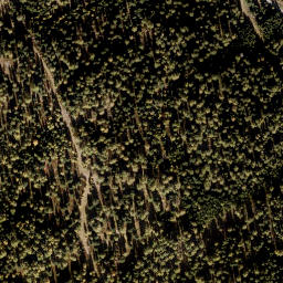 Satellite imagery of Frauenalpe, AT