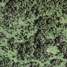 Satellite imagery of Cholhüttliegg, CH