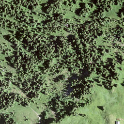 Satellite imagery of Furggelen, CH