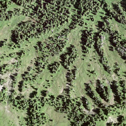 Satellite imagery of Leimgütsch, CH