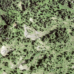 Satellite imagery of Leimgütsch, CH
