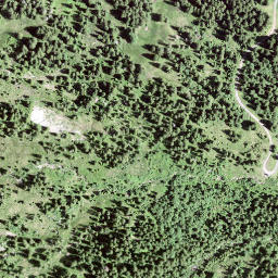 Satellite imagery of Leimgütsch, CH