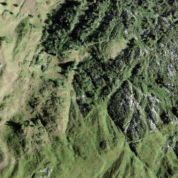 Satellite imagery of Fluhberg, CH
