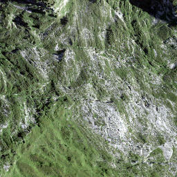 Satellite imagery of Schwalbenchöpf, CH