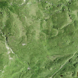 Satellite imagery of Türli, CH