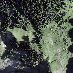 Satellite imagery of Steingässler, CH