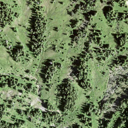 Satellite imagery of Leimgütsch, CH