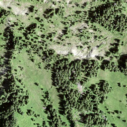 Satellite imagery of Leimgütsch, CH