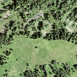 Satellite imagery of Leimgütsch, CH