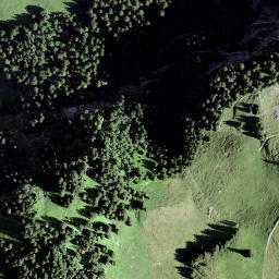 Satellite imagery of Schwarz Stock, CH