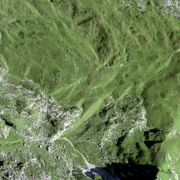Satellite imagery of Schwalbenchöpf, CH