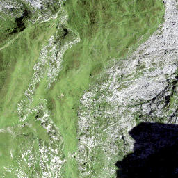 Satellite imagery of Schwalbenchöpf, CH