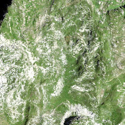 Satellite imagery of Murgseefurggel, CH