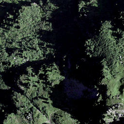 Satellite imagery of Goldichopf, CH