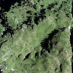 Satellite imagery of Goldichopf, CH