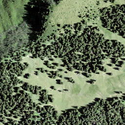 Satellite imagery of Plattisegg, CH