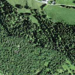 Satellite imagery of Schild, CH