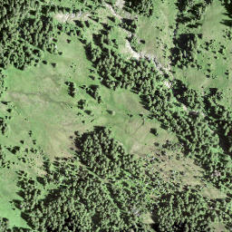 Satellite imagery of Leimgütsch, CH