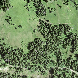 Satellite imagery of Leimgütsch, CH