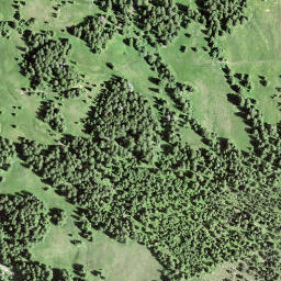 Satellite imagery of Leimgütsch, CH