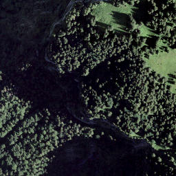 Satellite imagery of Schwarz Stock, CH