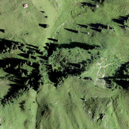 Satellite imagery of Schwarz Stock, CH