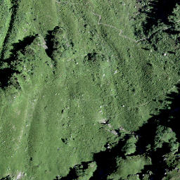 Satellite imagery of Goldichopf, CH