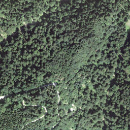 Satellite imagery of Dürregütsch, CH