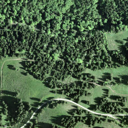 Satellite imagery of Wisstannegg, CH