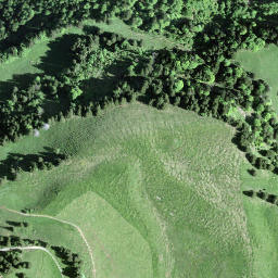 Satellite imagery of Wisstannegg, CH