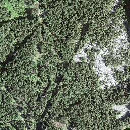 Satellite imagery of Zwischenmythen, CH
