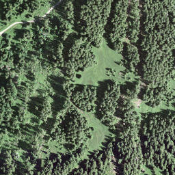 Satellite imagery of Schwarzenstock, CH