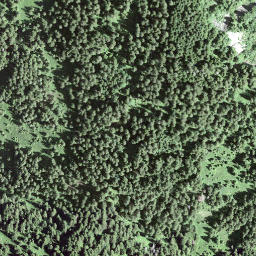 Satellite imagery of Schwarzenstock, CH