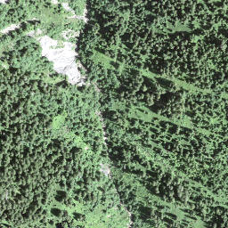 Satellite imagery of Schwarzenstock, CH