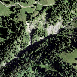 Satellite imagery of Sulzboden, CH