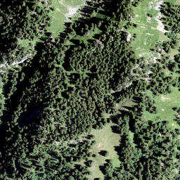 Satellite imagery of Twiren, CH