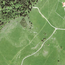 Satellite imagery of Crêt de Courti, CH