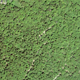 Satellite imagery of Chaumont du Signal, CH
