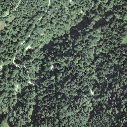 Satellite imagery of Dürregütsch, CH
