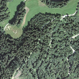 Satellite imagery of Dürregütsch, CH