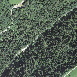 Satellite imagery of Dürregütsch, CH