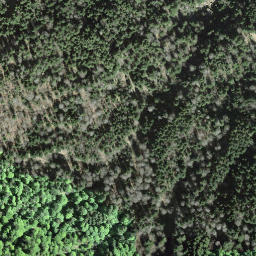 Satellite imagery of Rigi Scheidegg, CH