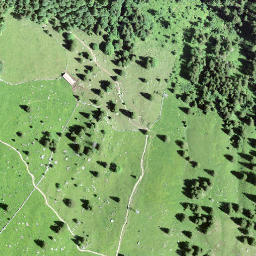 Satellite imagery of Holzegg, CH